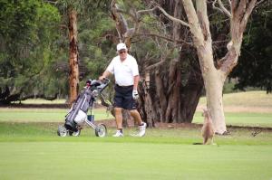 Go to Victor Harbor Golf Club, Victor Harbor SA 