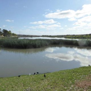 Mannum Caravan Park