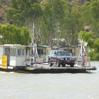 Mannum Ferry