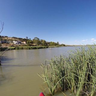SUPing at Mannum