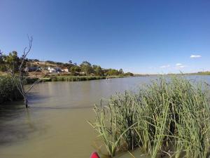 Go to SUPing at Mannum, Mannum SA 