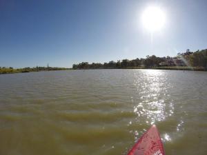 Go to SUPing at Mannum, Mannum SA 