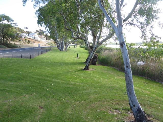 Hermann Gass Bird Sanctuary