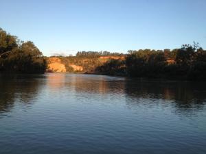 Go to Riverland, SA 
