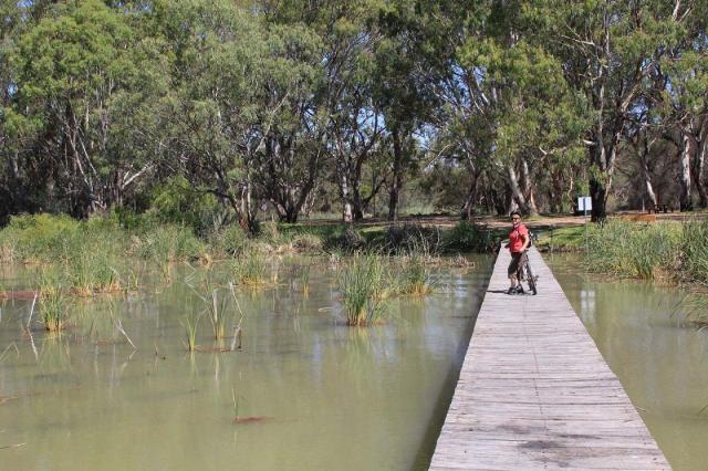 Renmark Riverfront Interpretive Walk
