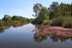 Go to Banrock Station, Kingston On Murray SA 
