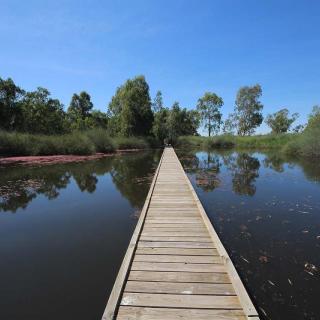 Banrock Station Boardwalk Trail