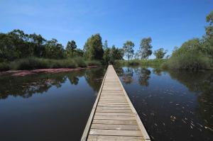 Go to Banrock Station Boardwalk Trail, Kingston On Murray SA 