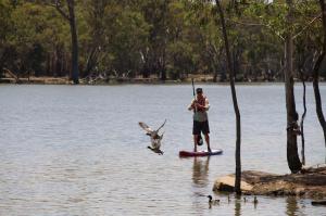 Go to SUPing at Robinvale, Robinvale VIC