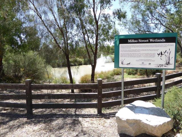 Milloo Street Wetlands