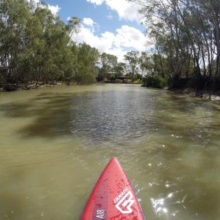 SUPing at Swan Hill