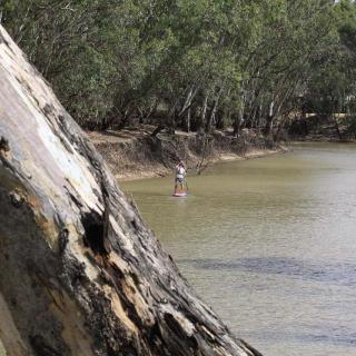SUPing at Swan Hill