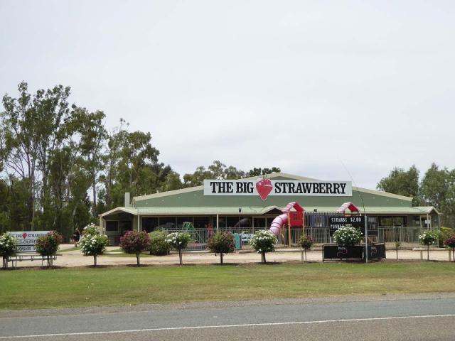 The Big Strawberry