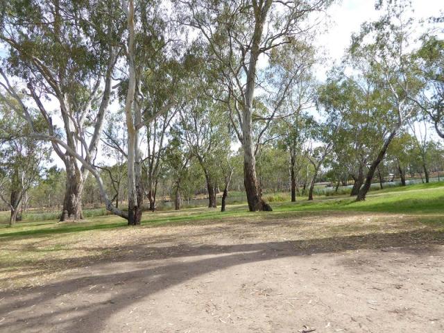 Lake Benalla Foreshore