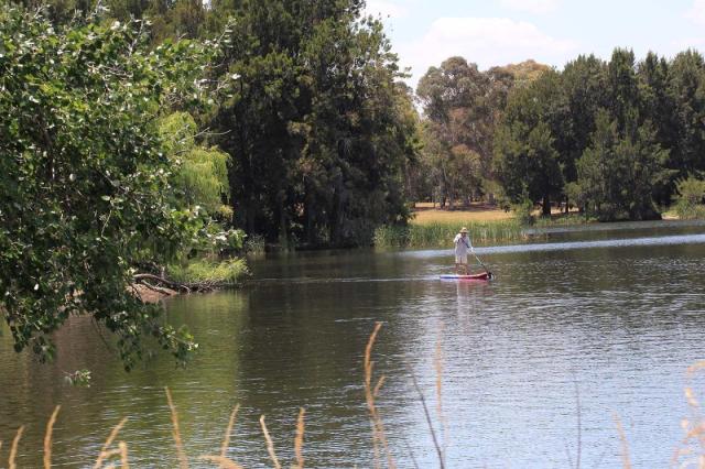 SUPing at Lake Ginninderra