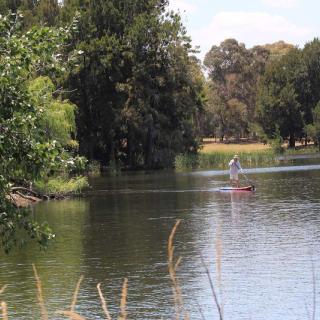 SUPing at Lake Ginninderra