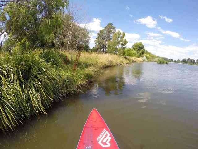 SUPing at Molonglo River