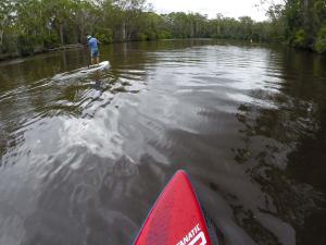 Go to SUPing at Failford, Failford NSW