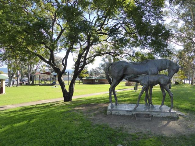 Elizabeth Park - Scone