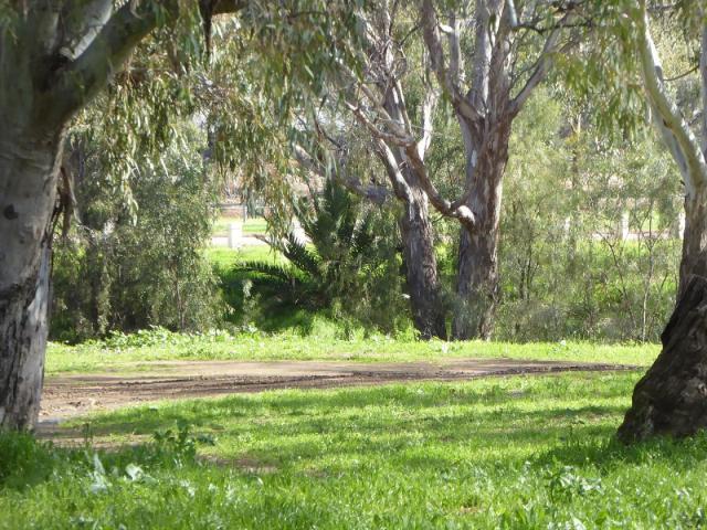 Cohens Bridge Rest Area