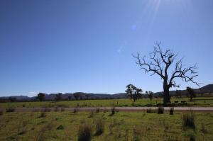 Go to Lochiel Downs, Narrabri NSW