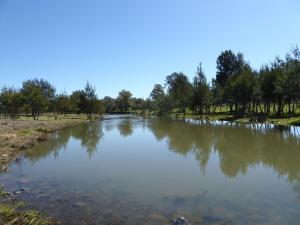 Go to Lochiel Downs, Narrabri NSW