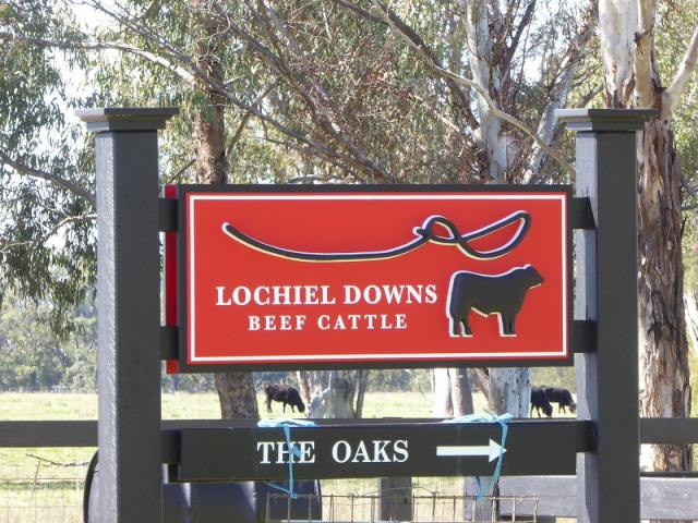 Lochiel Downs
