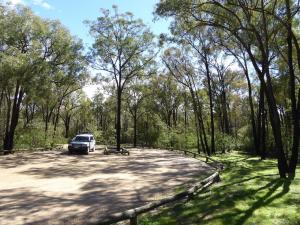 Go to Mount Kaputar NP, Kaputar NSW