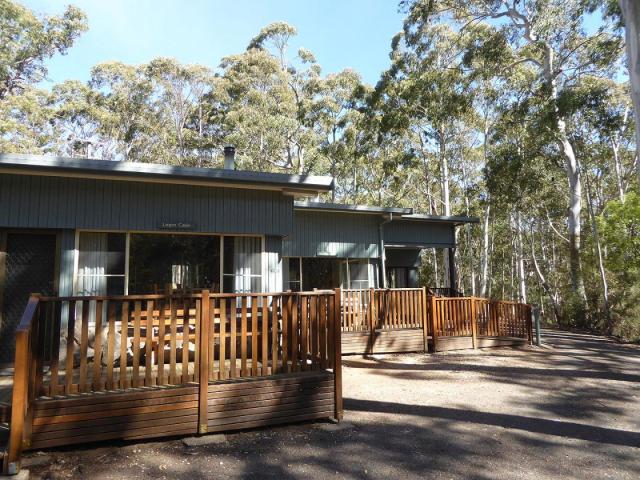 Dawsons Spring Cabins