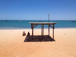 Go to Monkey Mia, WA 