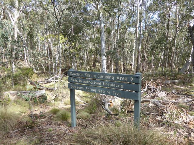 Dawsons Spring Camping Area