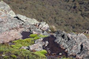 Go to Eckford Lookout, Kaputar NSW