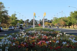 Go to Canberra, ACT