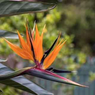BIG4 Bungalow Park on Burrill Lake