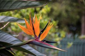 Go to BIG4 Bungalow Park on Burrill Lake, Burrill Lake NSW