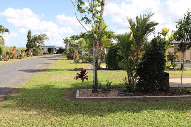 BIG4 Innisfail Mango Tree Tourist Park