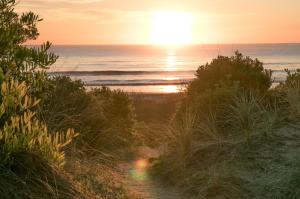 Go to BIG4 South Durras Holiday Park, South Durras NSW