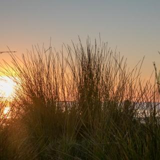 BIG4 South Durras Holiday Park