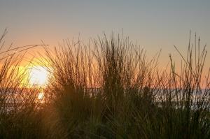 Go to BIG4 South Durras Holiday Park, South Durras NSW