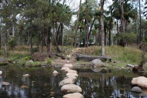 Go to Carnarvon NP, Rolleston QLD