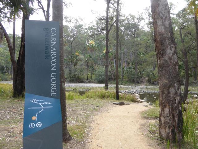 Carnarvon Gorge - Main Walking Track