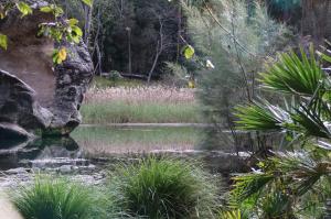 Go to Carnarvon Gorge - Rock Pool, Rolleston QLD