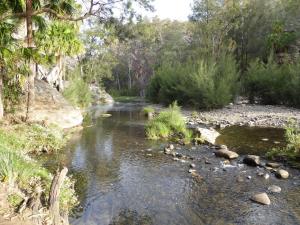Go to Carnarvon Gorge - Rock Pool, Rolleston QLD