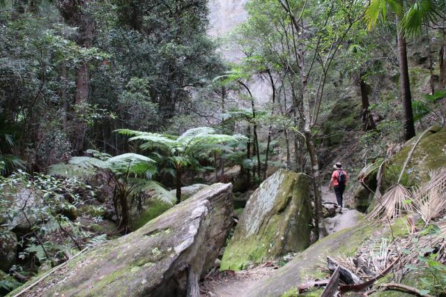 Carnarvon Gorge - Warrumba Creek
