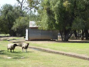 Go to Woolscour, Blackall QLD