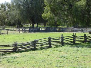 Go to Woolscour, Blackall QLD