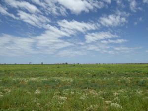 Go to Isisford Blackall Road, Isisford QLD