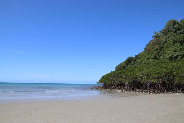Cape Tribulation