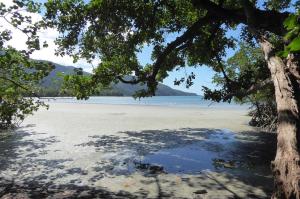 Go to Cape Tribulation, QLD