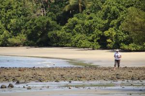 Go to Cape Trib Beach House, Cape Tribulation QLD